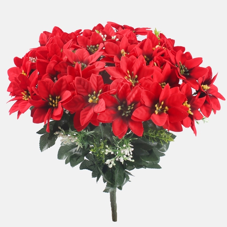 Poinsettia x 36