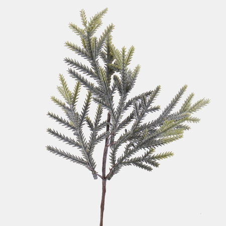 Thuja twig frozen 35 cm