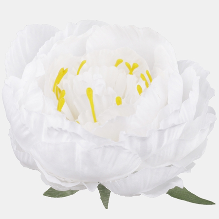 Satin peony