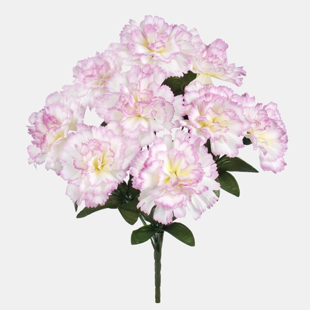 Carnation x 9