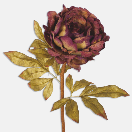 Cork Peony