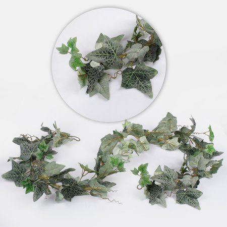 Hedera garland