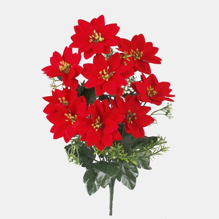 Poinsettia x 9