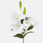 White (L888-01)