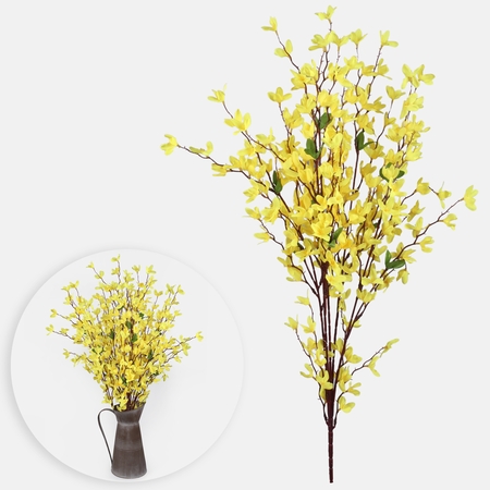 Forsythia