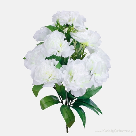 Carnation x 9