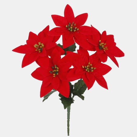 Poinsettia x 5