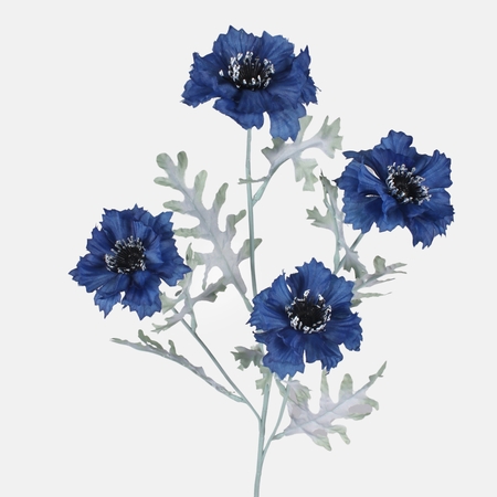 Cornflower x 4