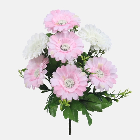 Gerbera x 7