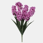 Purple (Q077-02)