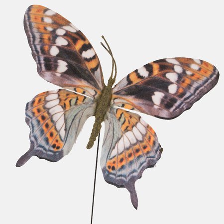 Butterfly on a wire