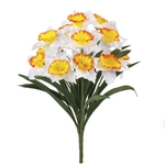 White/Yellow/Orange Center (Q754-03)