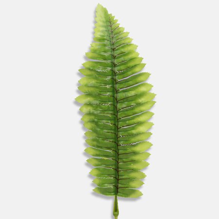 Fern leaf