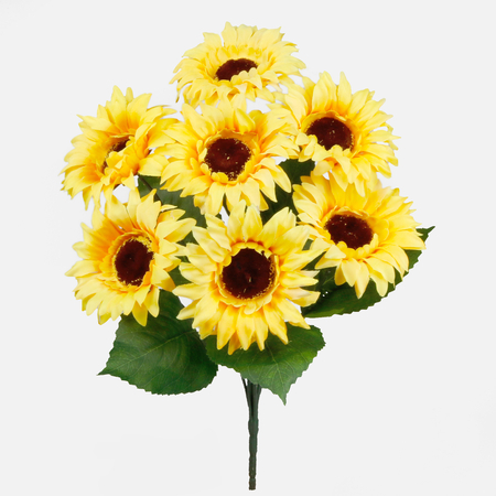 Sunflower x 7