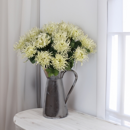 Pincushion Protea